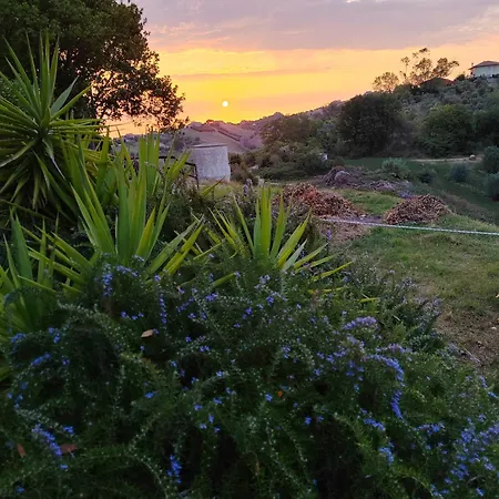 Pecora Nera * Монтоне