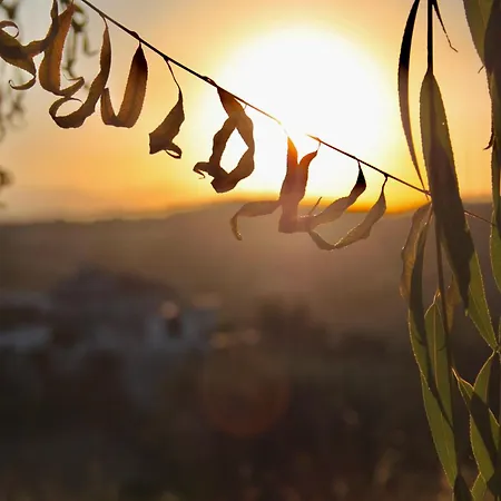 Pecora Nera Апарт-отель