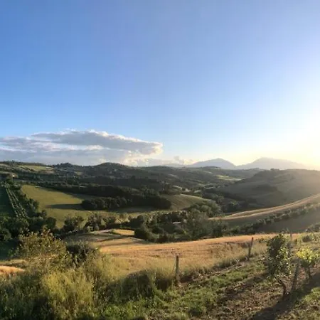 Pecora Nera Montone (Abruzzo)