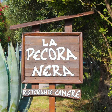 Апарт-отель Pecora Nera Монтоне