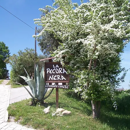 Pecora Nera Апарт-отель Монтоне