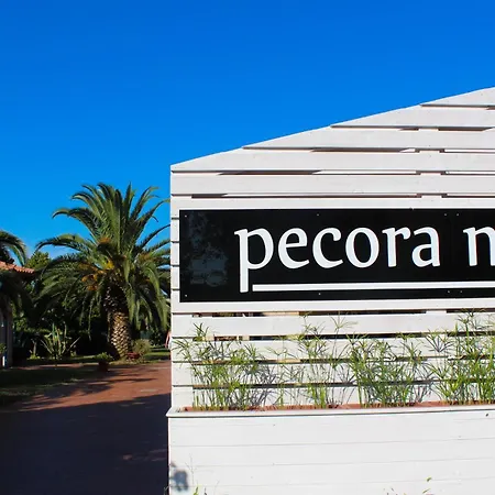 Pecora Nera *