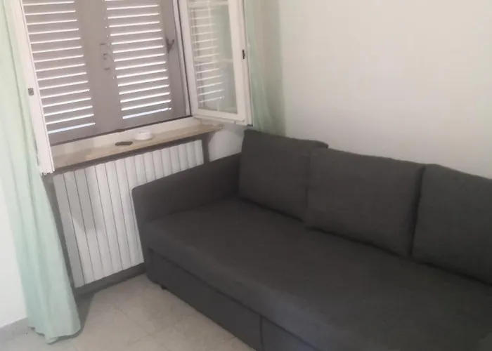 Pecora Nera Montone (Abruzzo)