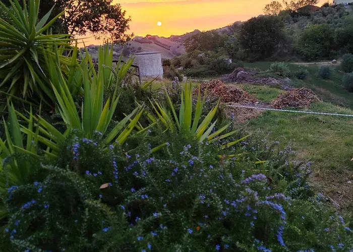 Pecora Nera * Montone (Abruzzo)