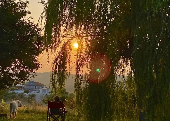 Pecora Nera * Montone