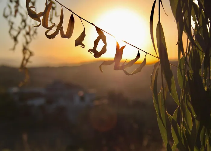 Pecora Nera アパートホテル